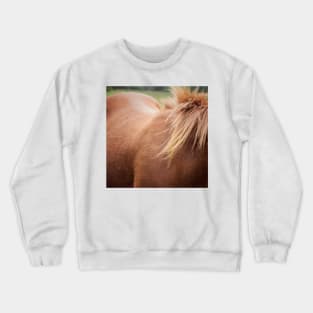 Tousled Crewneck Sweatshirt